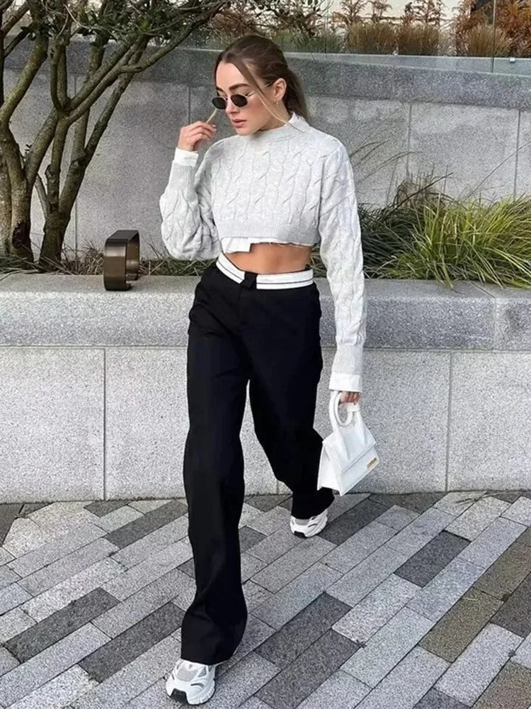 Pleated High Waist Wide Leg Trousers
